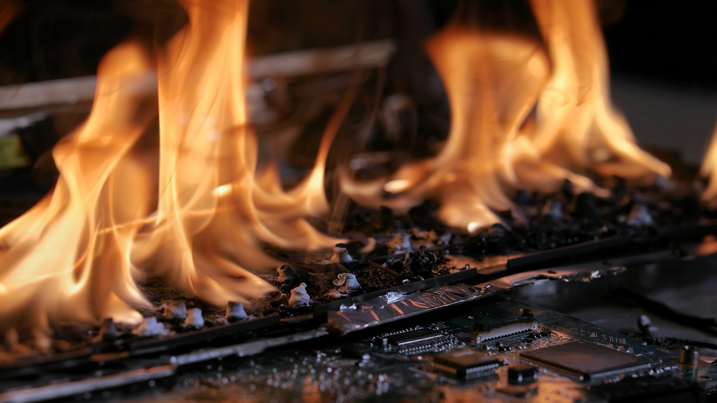 shutterstock 2048465294